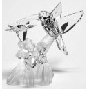 Colibri SWAROVSKI