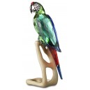Arara SWAROVSKI